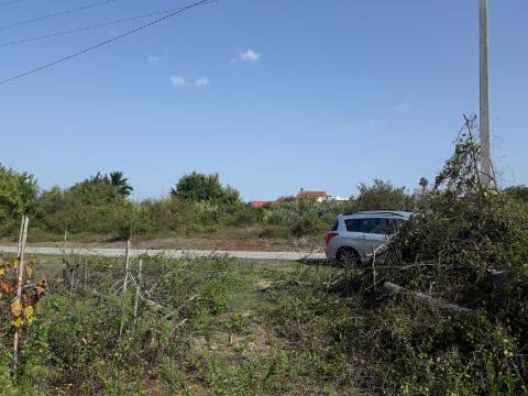 Terreno a Vinha Paraimo