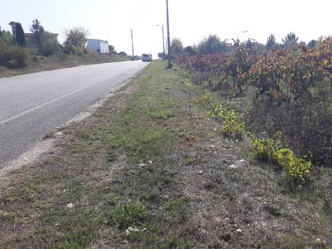 Terreno a Vinha Paraimo