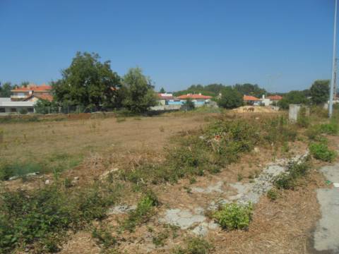 Lotes Aguada de Cima