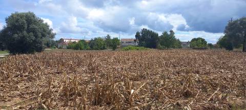 Terreno para construção - Excelente Oportunidade