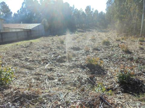 TERRENO ARREDORES SANGALHOS