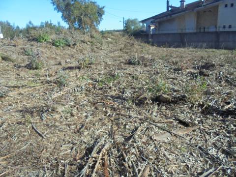 TERRENO ARREDORES SANGALHOS