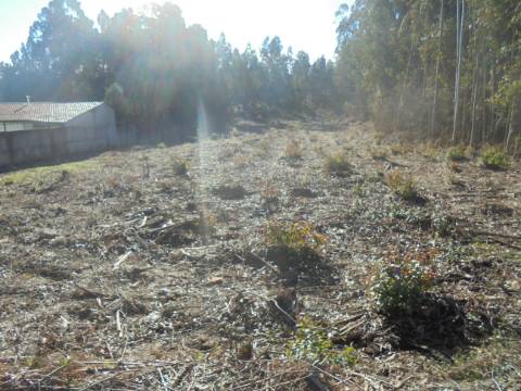 TERRENO ARREDORES SANGALHOS