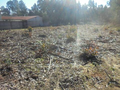TERRENO ARREDORES SANGALHOS