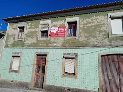 Moradia T3 para Remodelação ou Construção em Oiã