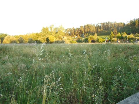 Moradia T7 com terreno de 7.000m2