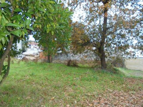 Terreno Avelãs de Caminho