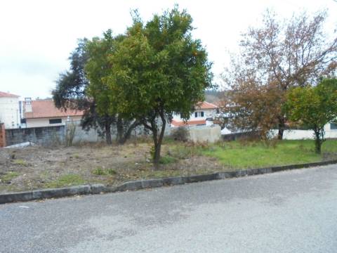 Terreno Avelãs de Caminho