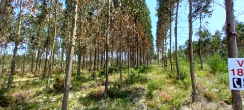 Terreno com potencial de construção de armazéns