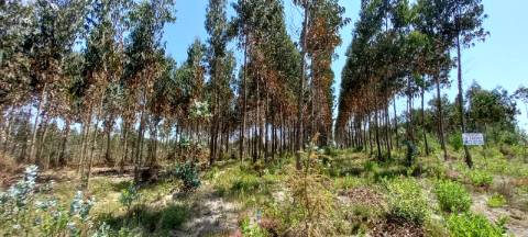 Terreno com potencial de construção de armazéns