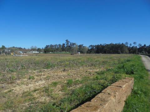 Terreno Arredores de Oiã