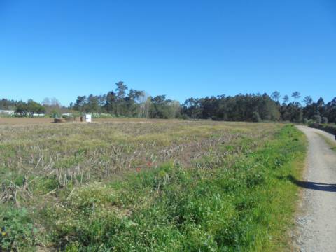 Terreno Arredores de Oiã