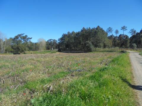 Terreno Arredores de Oiã