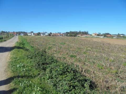 Terreno Arredores de Oiã
