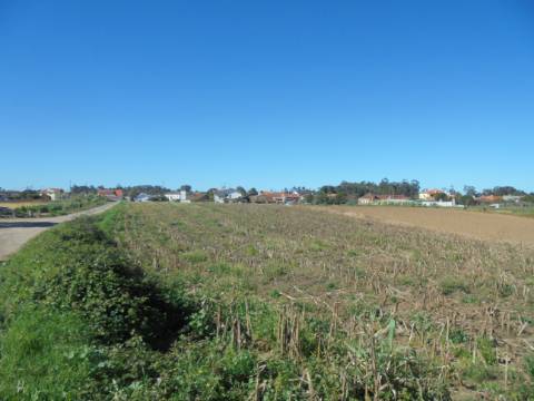 Terreno Arredores de Oiã