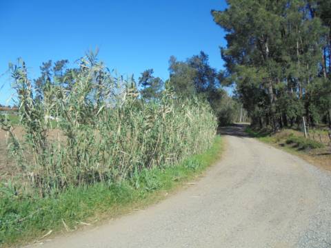 Terreno Arredores de Oiã