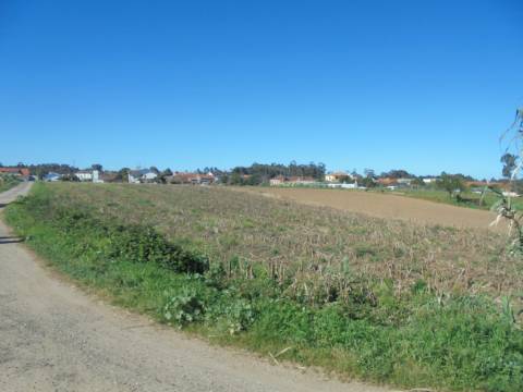 Terreno Arredores de Oiã