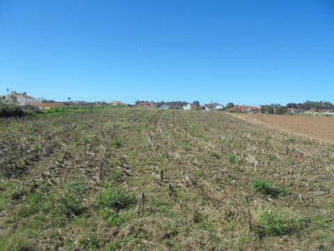 Terreno Arredores de Oiã