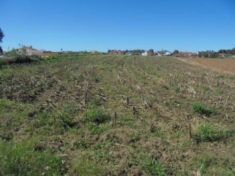 Terreno Arredores de Oiã