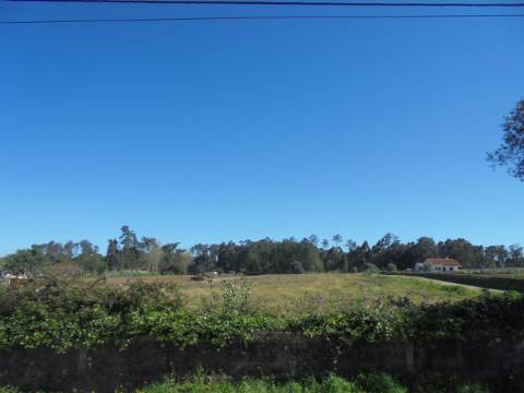 Terreno Arredores de Oiã