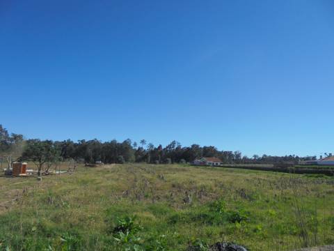 Terreno Arredores de Oiã