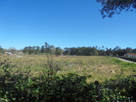 Terreno Arredores de Oiã