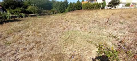 Terreno para venda em Oliveira do Bairro