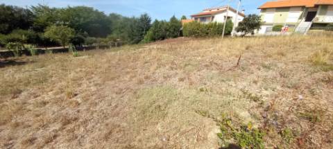 Terreno para venda em Oliveira do Bairro