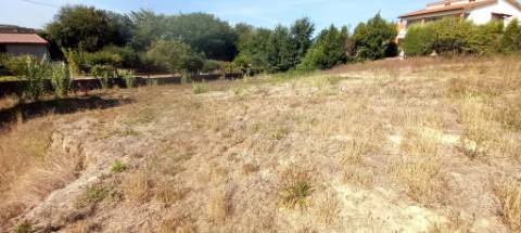Terreno para venda em Oliveira do Bairro
