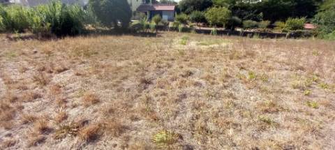 Terreno para venda em Oliveira do Bairro