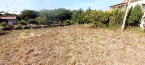 Terreno para venda em Oliveira do Bairro