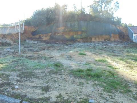 Terreno Avelãs de Caminho