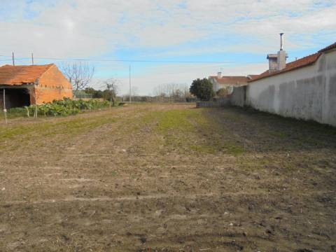 Terreno para venda na Mamarrosa