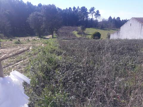 Terreno Arredores de Oliveira do Bairro