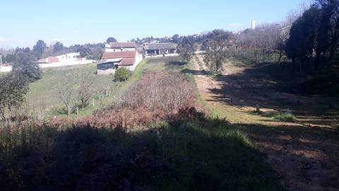 Terreno Arredores de Oliveira do Bairro