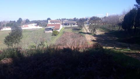 Terreno Arredores de Oliveira do Bairro