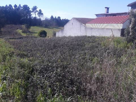 Terreno Arredores de Oliveira do Bairro
