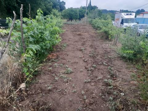 Terreno para construção em Oiã