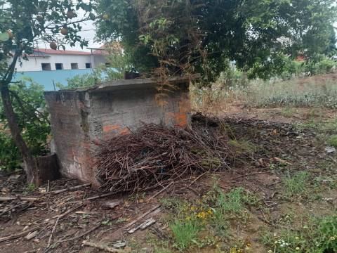 Terreno para construção em Oiã
