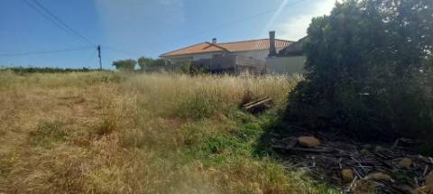 Terreno a poucos minutos de Oliveira do Bairro