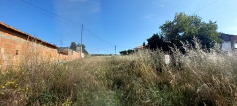 Terreno a poucos minutos de Oliveira do Bairro