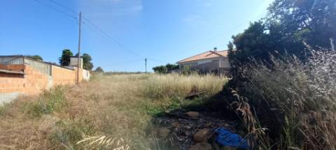 Terreno a poucos minutos de Oliveira do Bairro