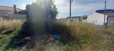 Terreno a poucos minutos de Oliveira do Bairro