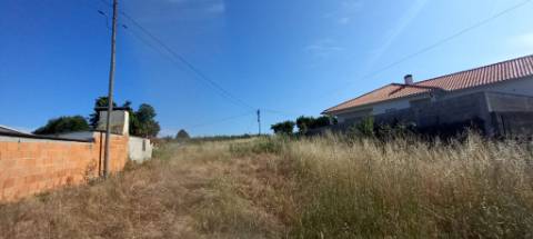 Terreno a poucos minutos de Oliveira do Bairro