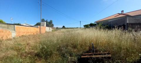 Terreno a poucos minutos de Oliveira do Bairro