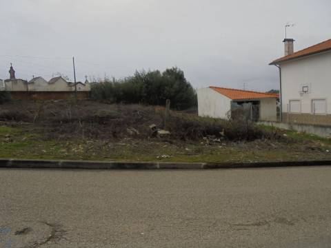 Terreno Avelãs de Caminho