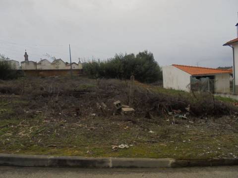 Terreno Avelãs de Caminho