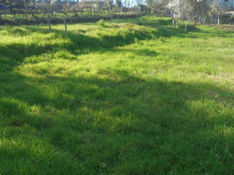 Terreno em Espinhel