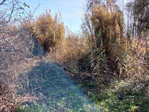 Terreno Agrícola na Murta