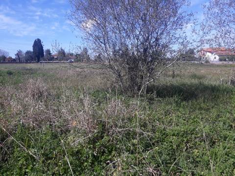 Terreno Arredores de Sangalhos